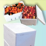 Fruit Box (2)